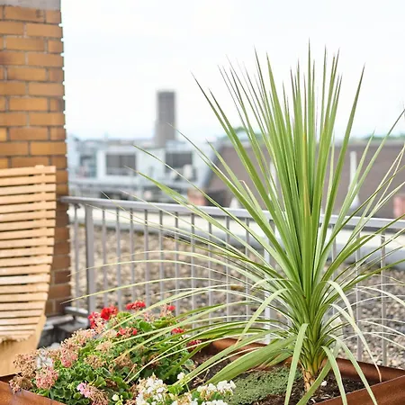 Exo Boutique - By Superfly 3* Mannheim