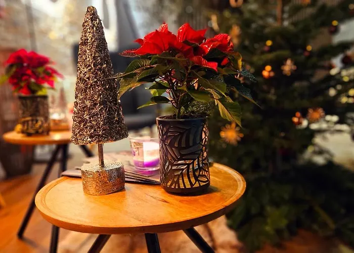 Exo Boutique - By Superfly 3*