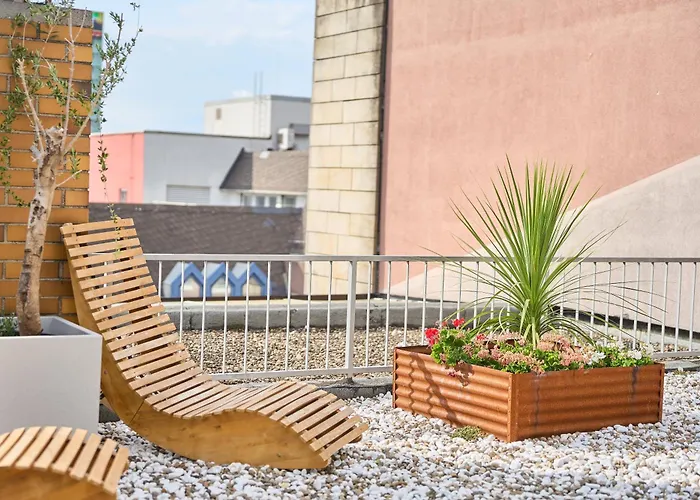 Exo Boutique - By Superfly