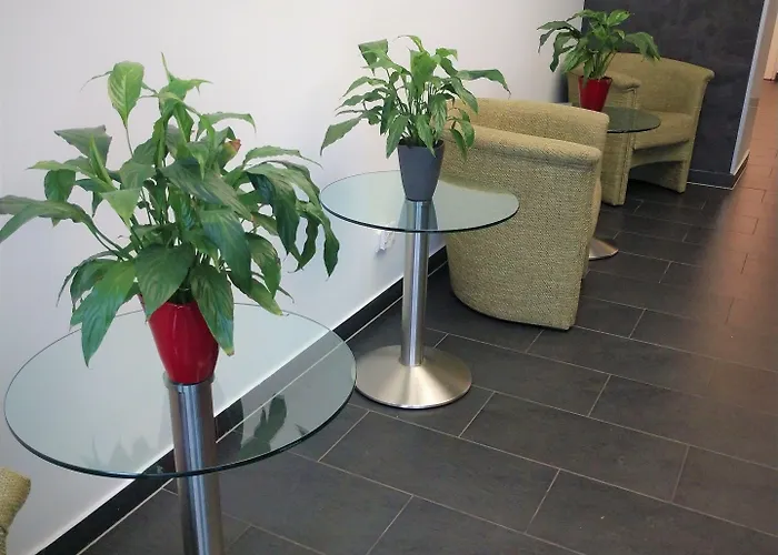 Exo Boutique - By Superfly Mannheim